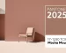 pantone---color-del-anio-pantone-2025